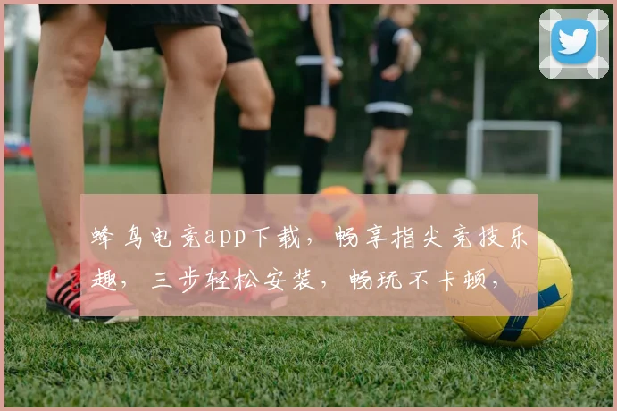 蜂鸟电竞app下载，畅享指尖竞技乐趣，三步轻松安装，畅玩不卡顿，快来体验
