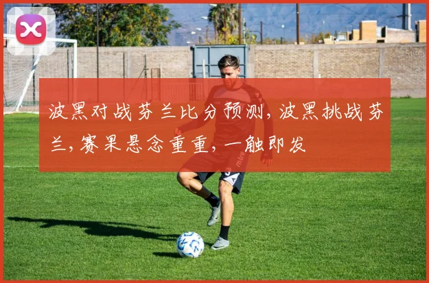 波黑对战芬兰比分预测,波黑挑战芬兰,赛果悬念重重,一触即发